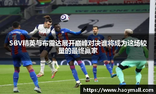 哈哈体育下载